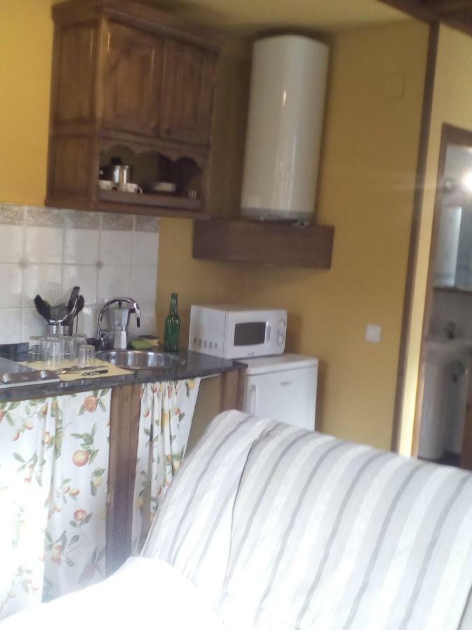 Apartamento Rural El Oso 2 Guest House Pola de Somiedo Exterior photo